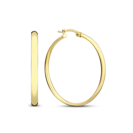 Aureva™ | Gold Classic Hoop Earrings